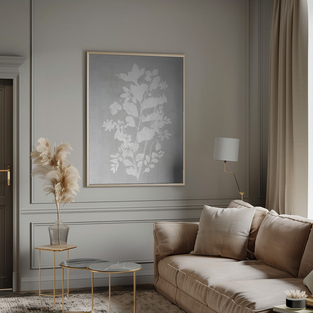 Wall art Botanical Illustration 2