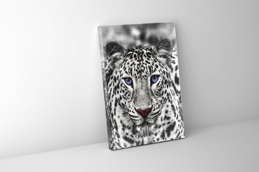 Wandkunst – Blauäugiger Weißer Tiger – Wildtier-Dekoration