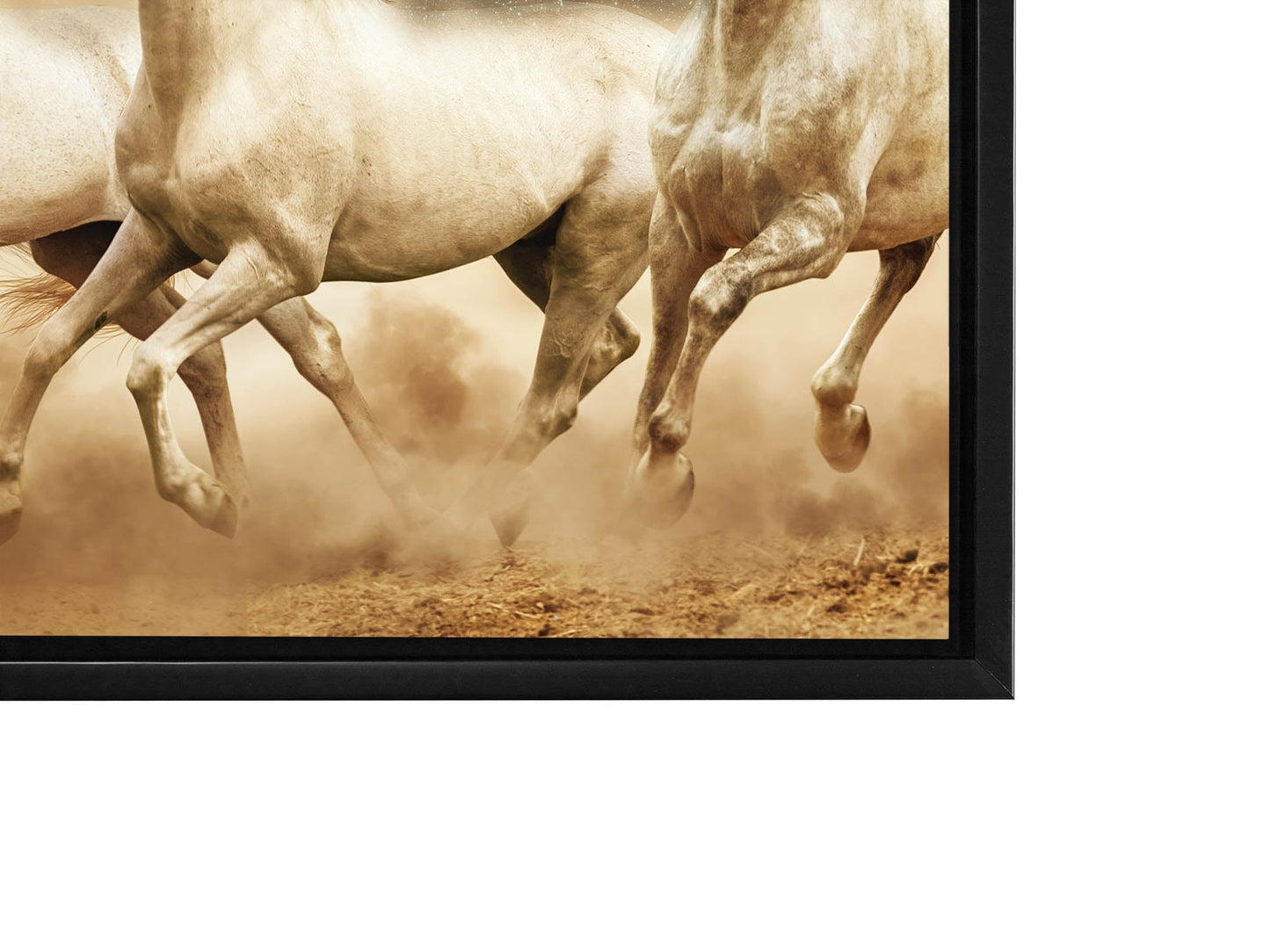 Genesis eines Einhorns Fein-Pferd Leinwand-Wildtierkunst-RGB Lack