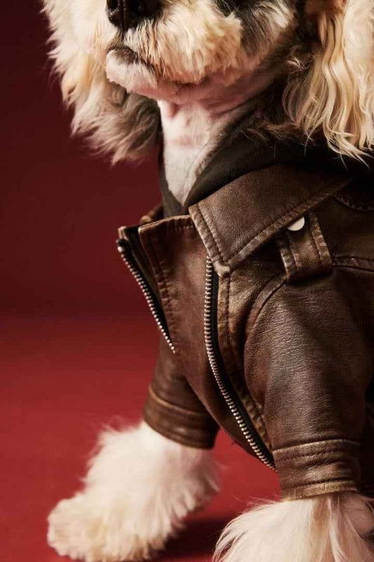 Lenny Dog Jacket | Dog Jacket for Cold Weather