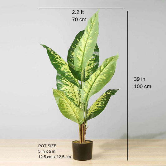 Eren Artificial Evergreen Potted Plant 39''
