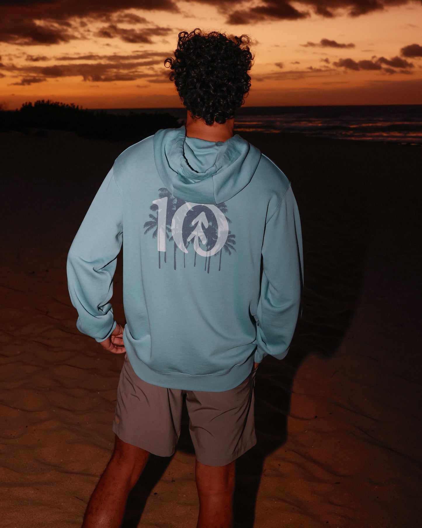 Haiti Palm Logo Relaxed Hoodie