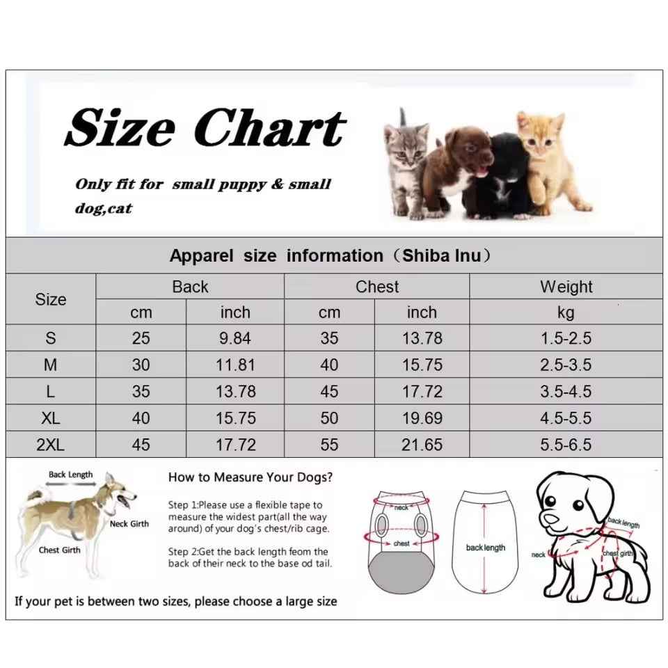 Rose Crown Name Dog Collar | Customized Dog Collar