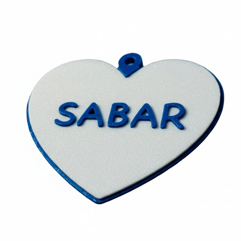 Personalized Dog & Cat ID Tag with Swivel Hook