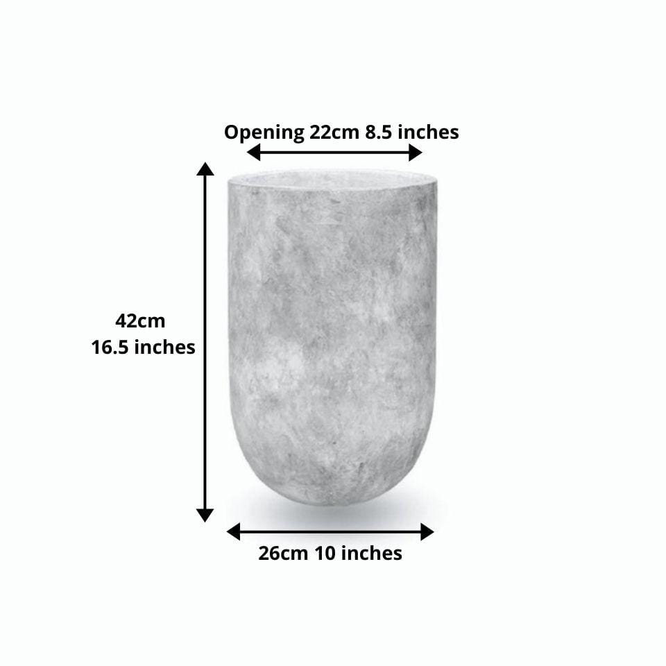 Xaca Zement Pflanzgefäß 10''