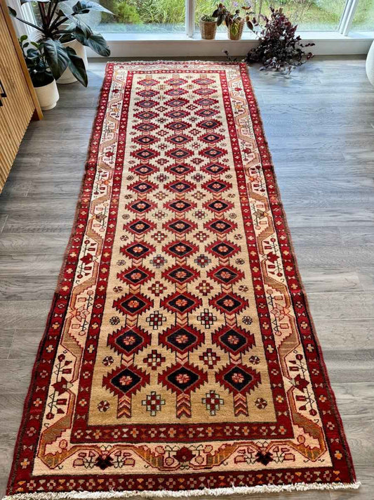 Persian Azerbaijan Runner Rug | 3' 10" x 9' 3"