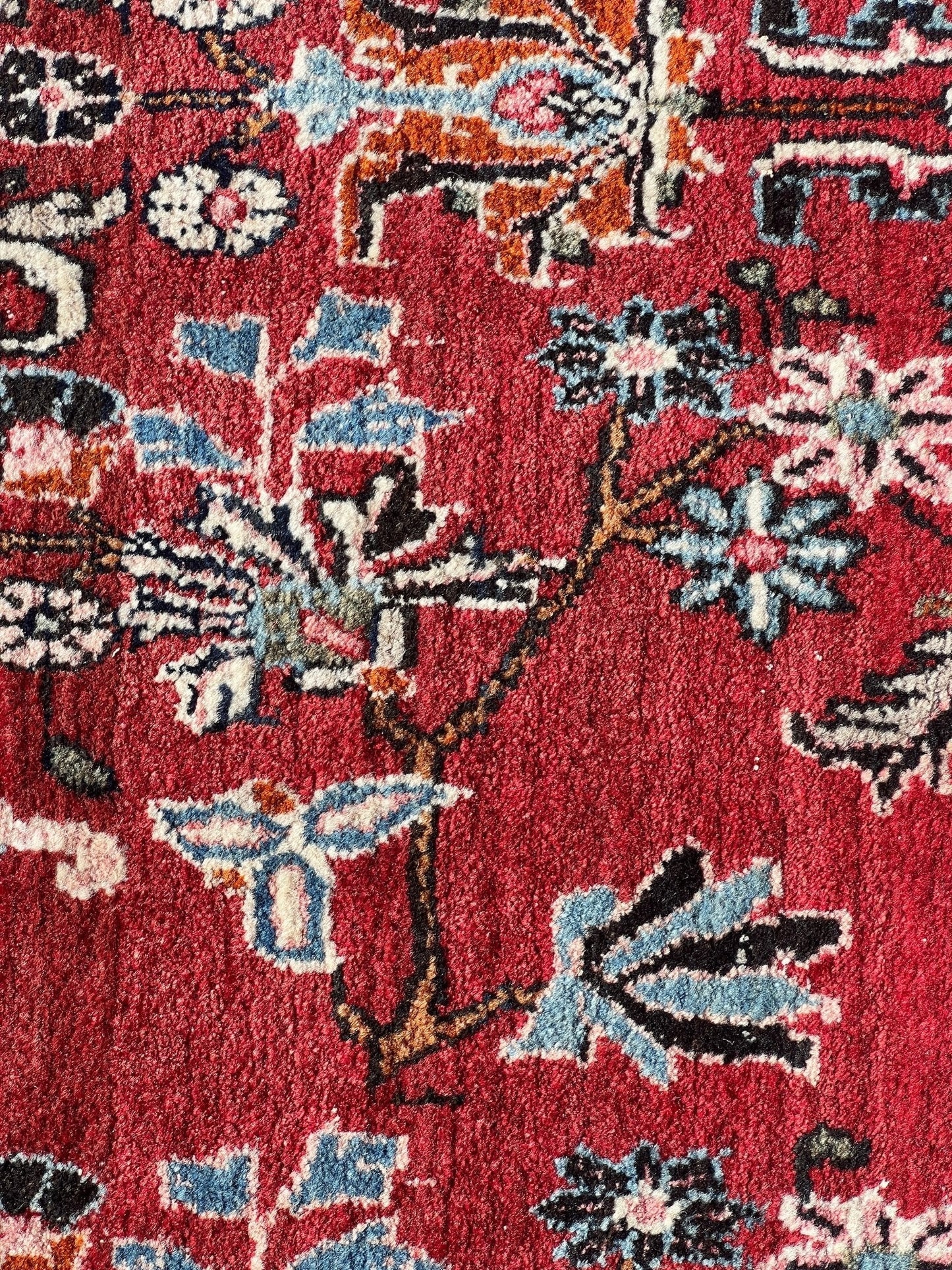 Persian Bidjar Rug | 8' 11" x 12' 2"