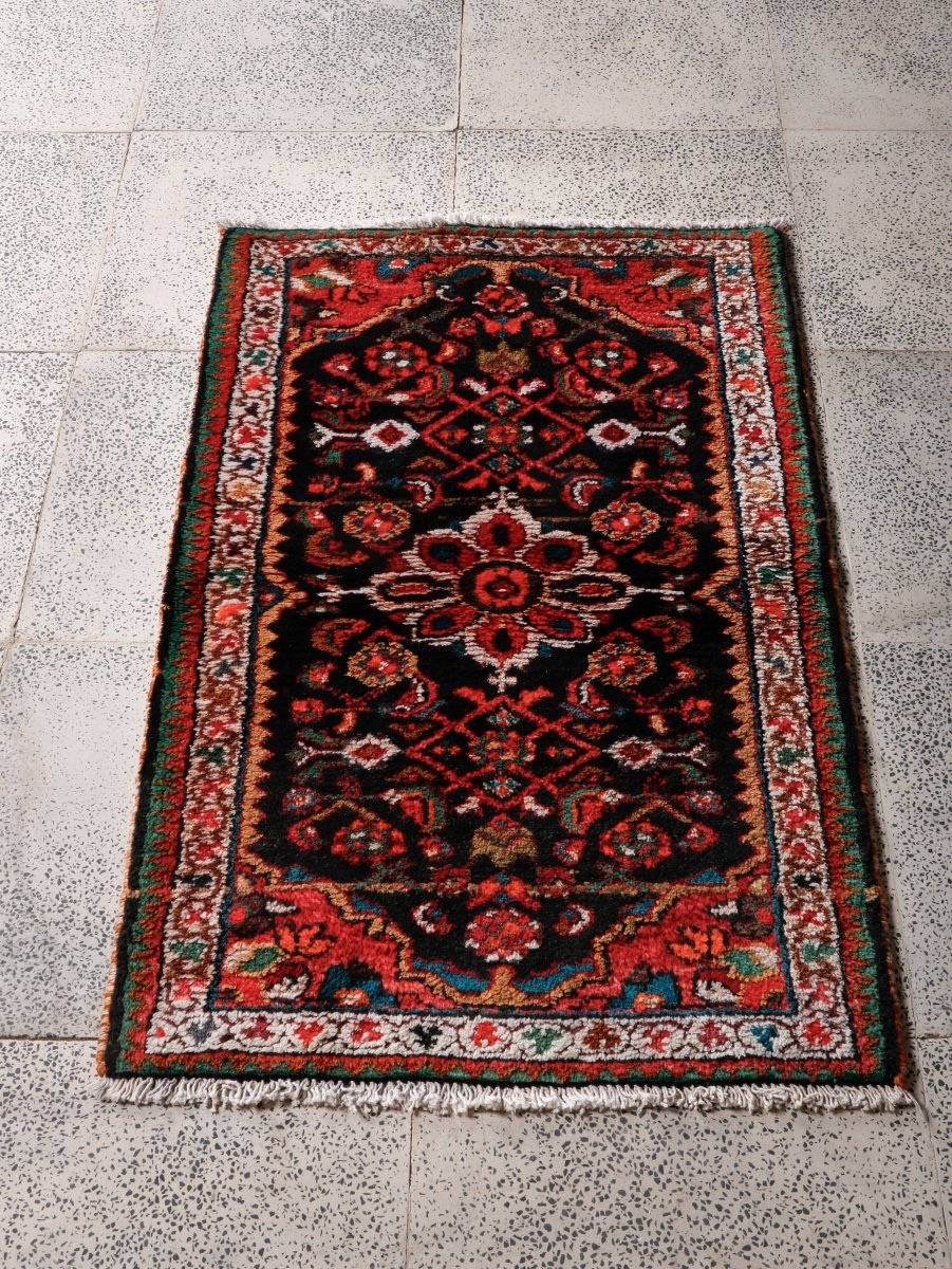 Persian Hamedan Rug | 2' 2” x 3' 5"