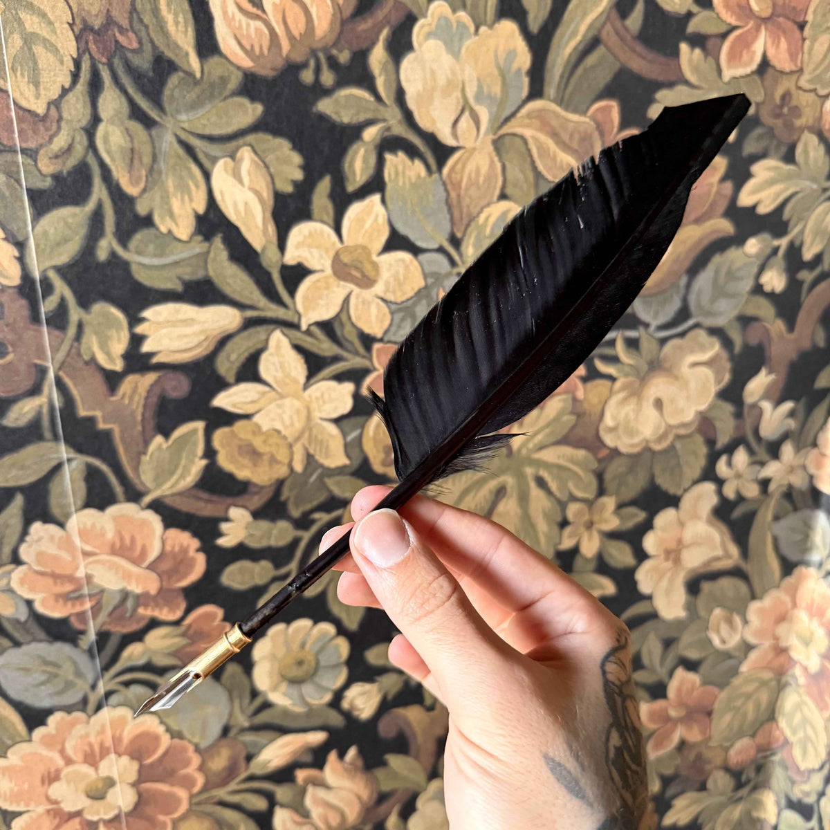 The Shadow Scribe – Black Goose Feather Quill with Brass Nib Holder
