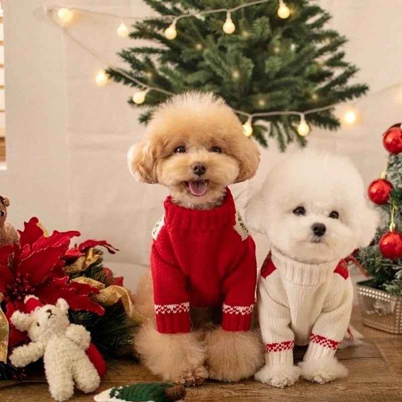 Santa Baby Holiday Dog Sweater | Christmas Dog Knit Sweater