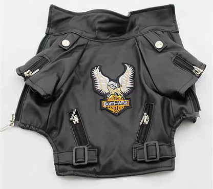 Rockstar Jacket | Stylish Dog Jacket & Fashion Pet Outerwear