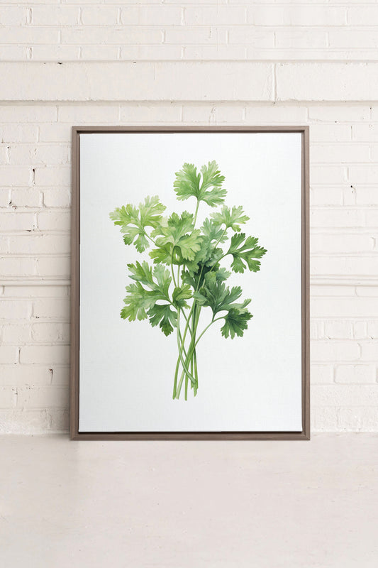 CILANTRO, Oeuvre sur toile étirée