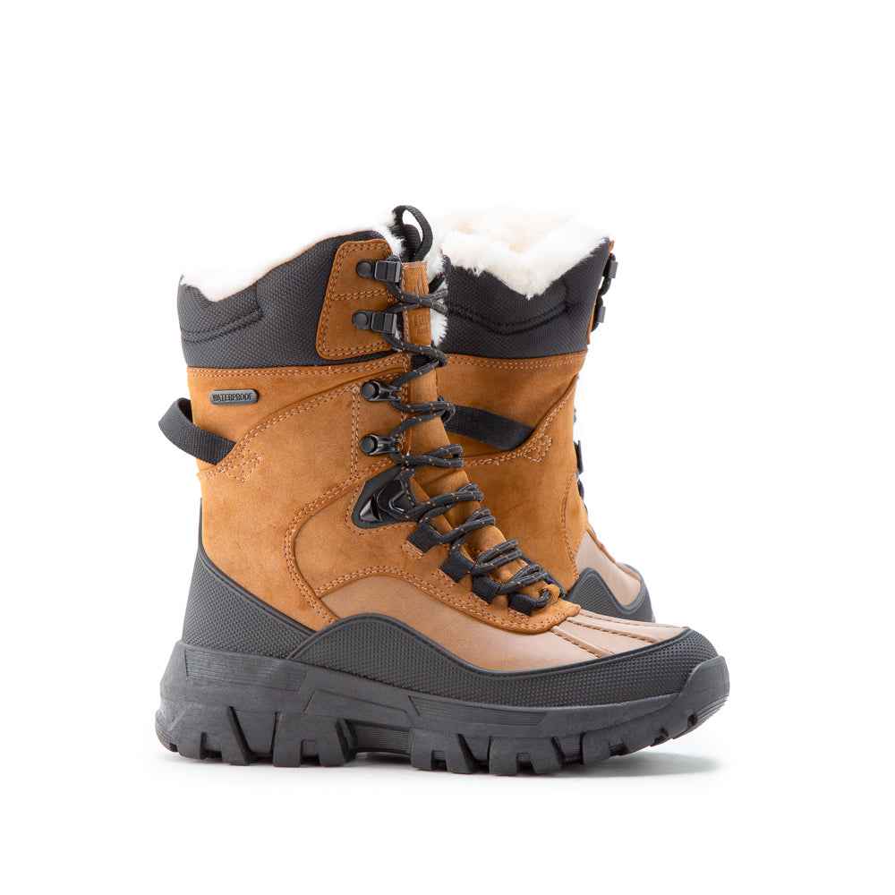 WINTERVALE H