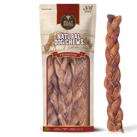 12 Inch Jumbo Braided Bully Stick