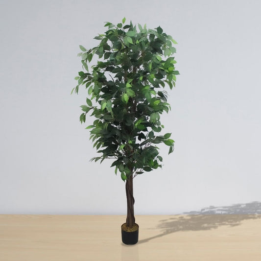 Tarso Artificial Ficus Potted Plant 6'