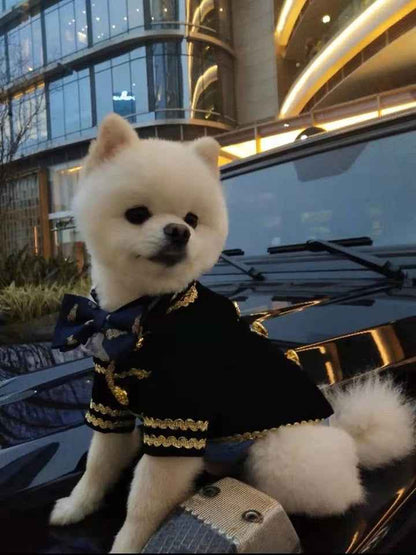 Captain Classic Dog Suit | Formal Occasion Dog Outfit