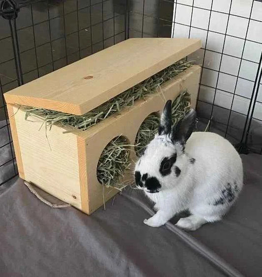 Hay Box for Bunnies & Guinea Pigs