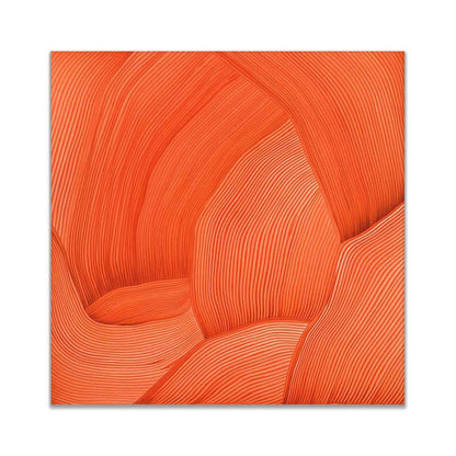 3D Line Drawing 36" x 36" Fine Art Canvas