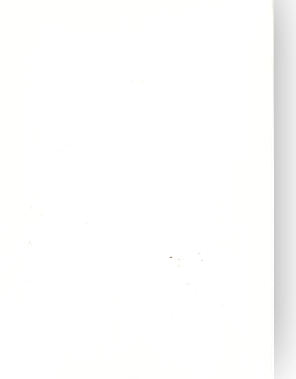 Foundation Cardstock  25 shts 220 gsm - Milk White