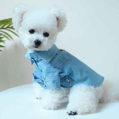 Denim Dog Tee | Casual Dog T-Shirt Outfit