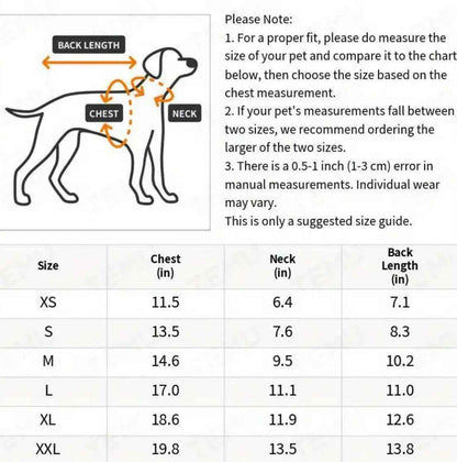 Adam Dog Sweater | Layered Dog Shirt and Knit Sweater