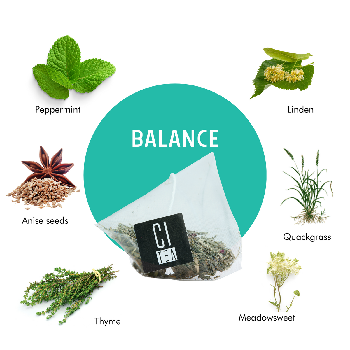 Balance Herbal Tea Pyramid Tea Bags