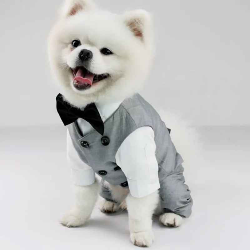 Distinguished Gentleman Two-Piece Dog Suit | Formal Dog Outfit Set