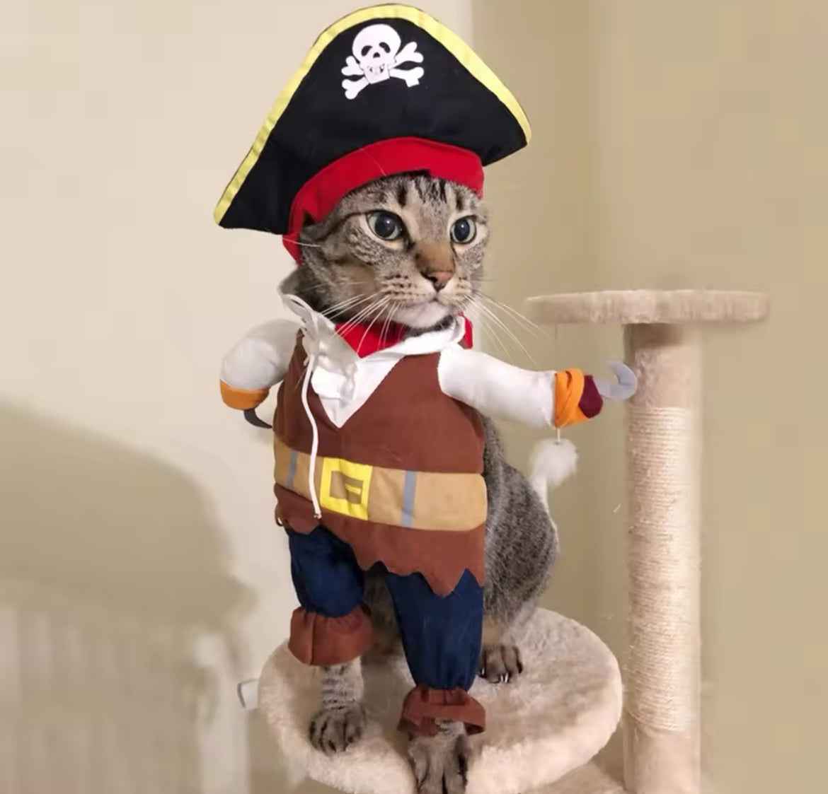 Pirate Halloween Dog Costume – Spooky Adventure Outfit for Dogs