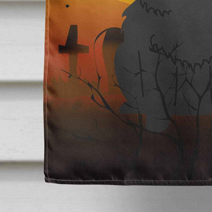 Caroline's Treasures BB4409CHF Halloween Chow Chow Black Canvas House Size Flag, Large, Multicolor