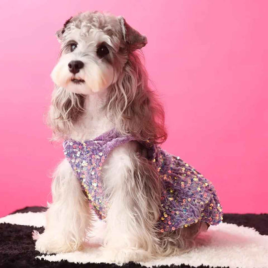 New Years Lover Sequin Dog Dress | Luxury Party Pet Dress