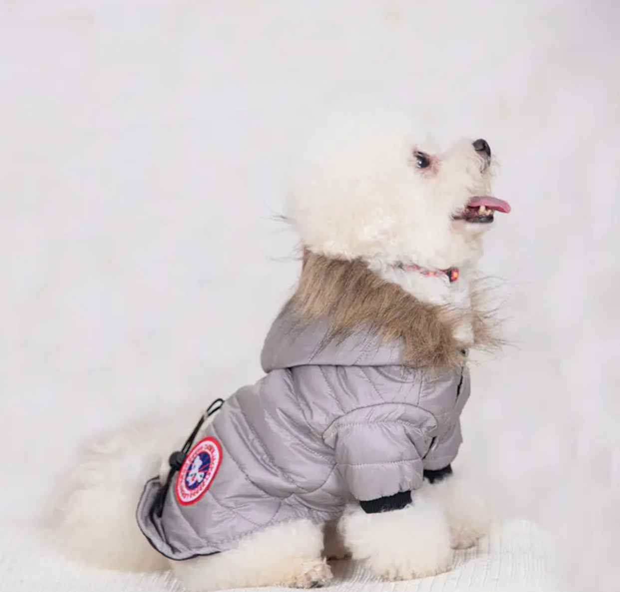 Canada Dog Jacket | Insulated Winter Dog Jacket with Fur Hood