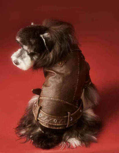Lenny Dog Jacket | Dog Jacket for Cold Weather