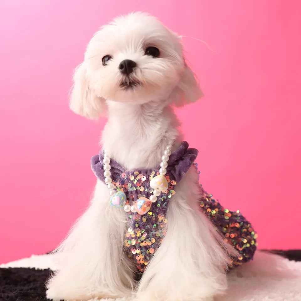 New Years Lover Sequin Dog Dress | Luxury Party Pet Dress