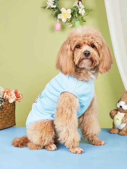 Easter Blue Shirt