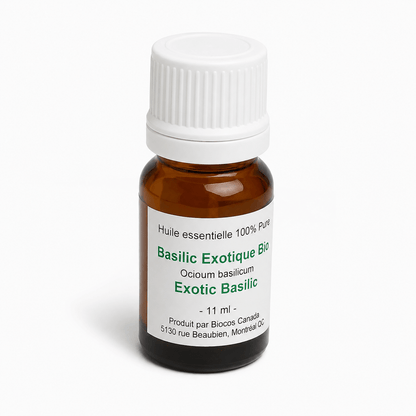 Basilic exotique bio