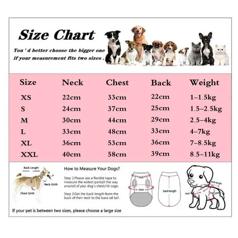 Dog Jacket | Heart Accent Dog Coat