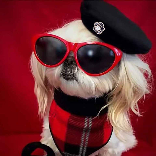 Dog Beret Hat | Coco Classic Dog Beret