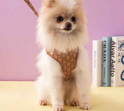 Gigi Dog Harness and Leash Set | Dog Walking Outfit