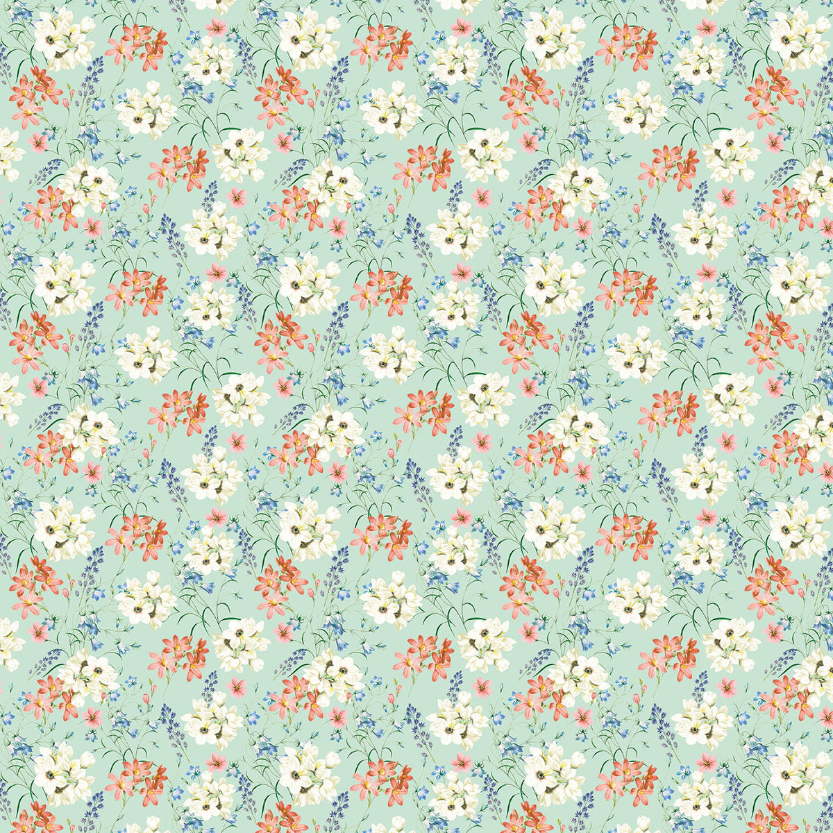 Ciao Bella Enchanted Land Fussy Cut Pad 6"x6" 24/Pkg