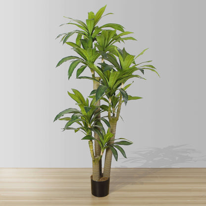 Dana Künstlicher Drachenbaum im Topf (verschiedene Größen)