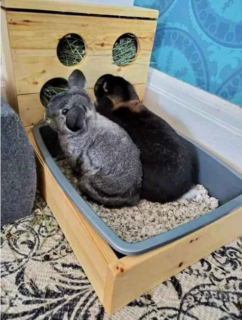 Four Hole Hay Feeder and Litter Box
