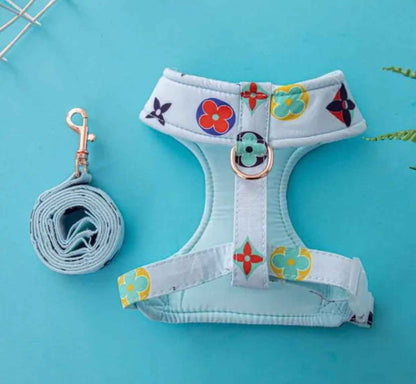 Chewy Pawtton Dog Harness and Leash Set | Dog Walking Outfit