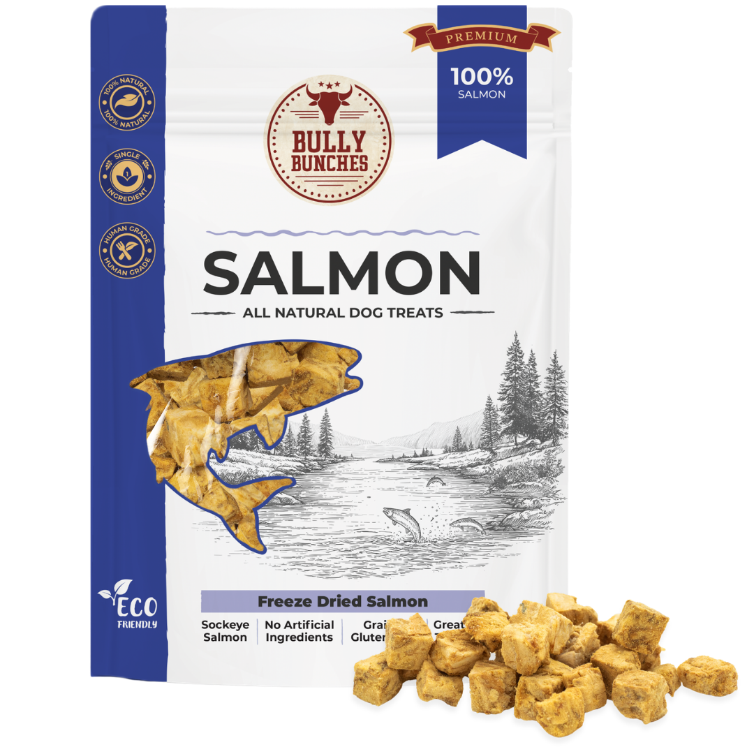 Freeze Dried Salmon 100g / 3.5oz