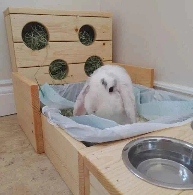 Four Hole Hay Feeder and Litter Box