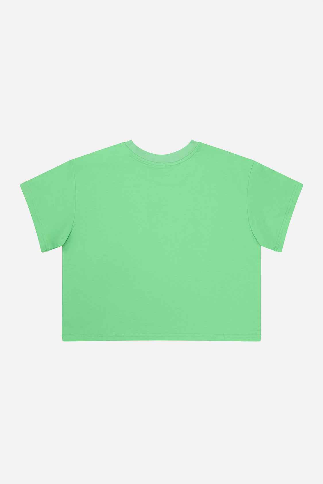 Adult 40th Anniversary Graphic Boxy T-Shirt Green
