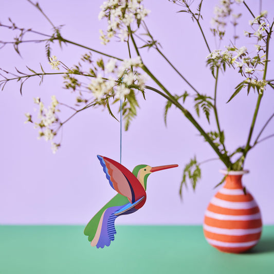 Hummingbird