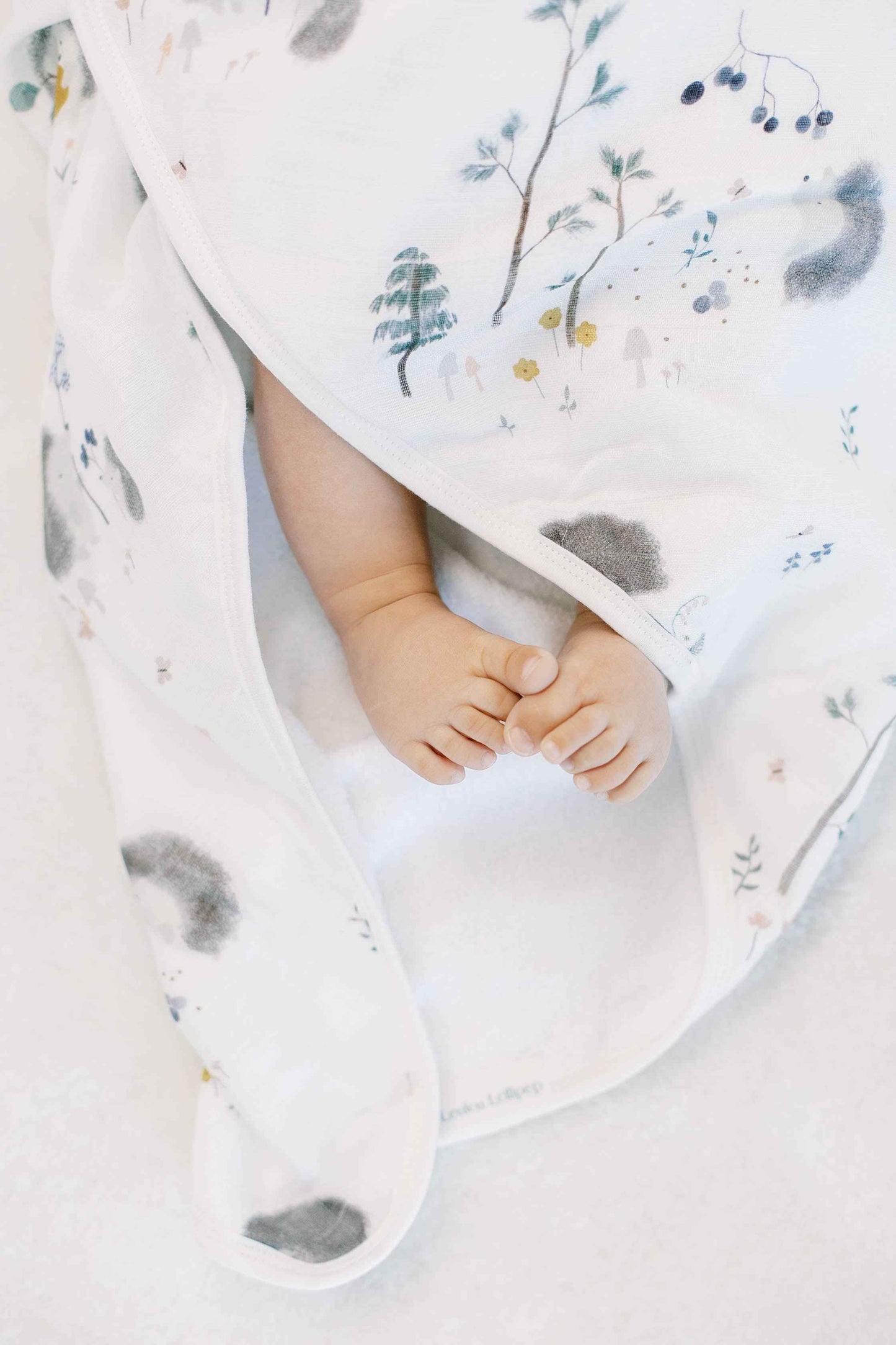 Hooded Towel Set - Hedgehogs