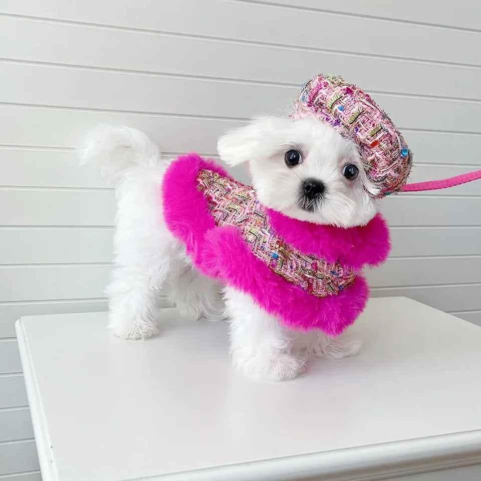 Sweet November Garden Harness Dress Set | Dress with Hat and Leash