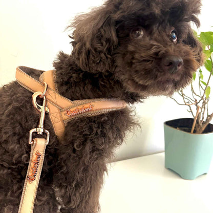 Peach Genuine Leather Leash
