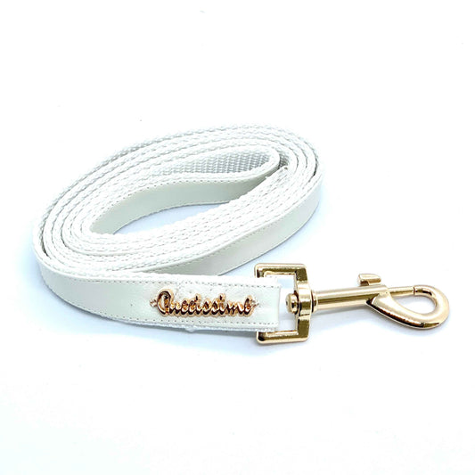 Swan leash with hands-free extension